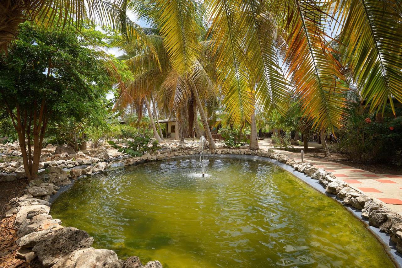 Captain Don'S Habitat Playa Exteriér fotografie